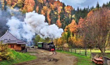 steam-train-experience-transylvania-tours-dracula